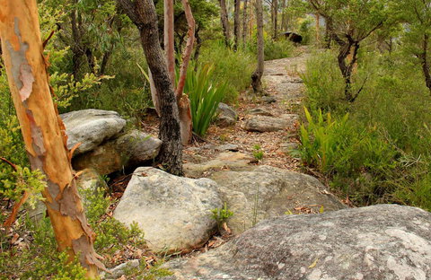 Mount Olive Trail - Melbourne Tourism 0