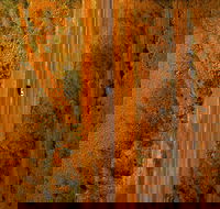 Newcastle Waters - Melbourne Tourism