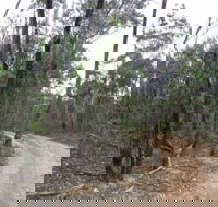 Paddys Ranges State Park - Melbourne Tourism