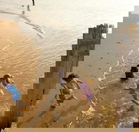 Phillip Island - Melbourne Tourism