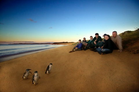 Phillip Island - Melbourne Tourism 2
