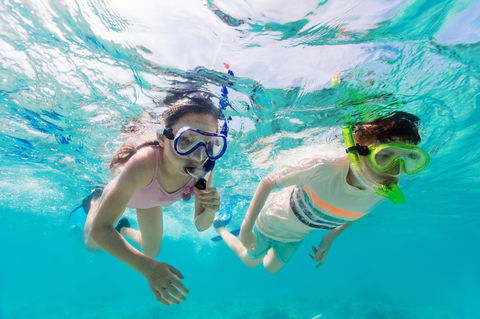 Snorkel Hat Head Creek - Melbourne Tourism 0