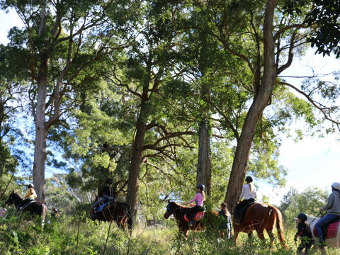 The Outlook Riding Academy - Melbourne Tourism 0