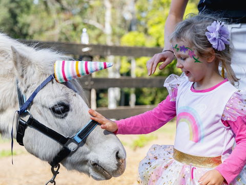 The Outlook Riding Academy - Melbourne Tourism 1