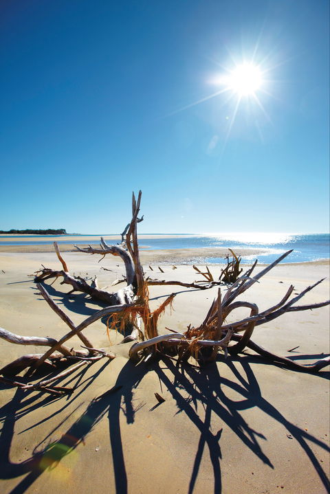 Woodgate Beach Park And Playground - Melbourne Tourism 1
