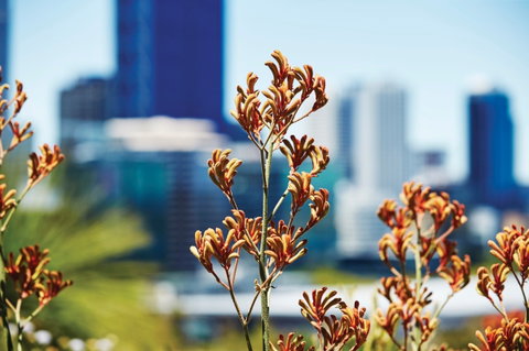 A Day In Perth - Melbourne Tourism 1