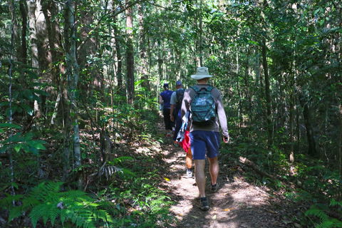Booloumba Falls Walk, Conondale National Park - Melbourne Tourism 1
