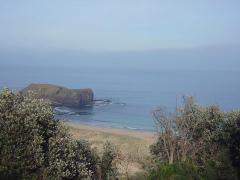 Bushrangers Bay - Melbourne Tourism 0