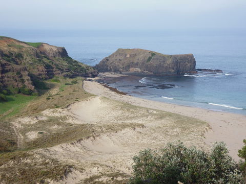 Bushrangers Bay - Melbourne Tourism 2