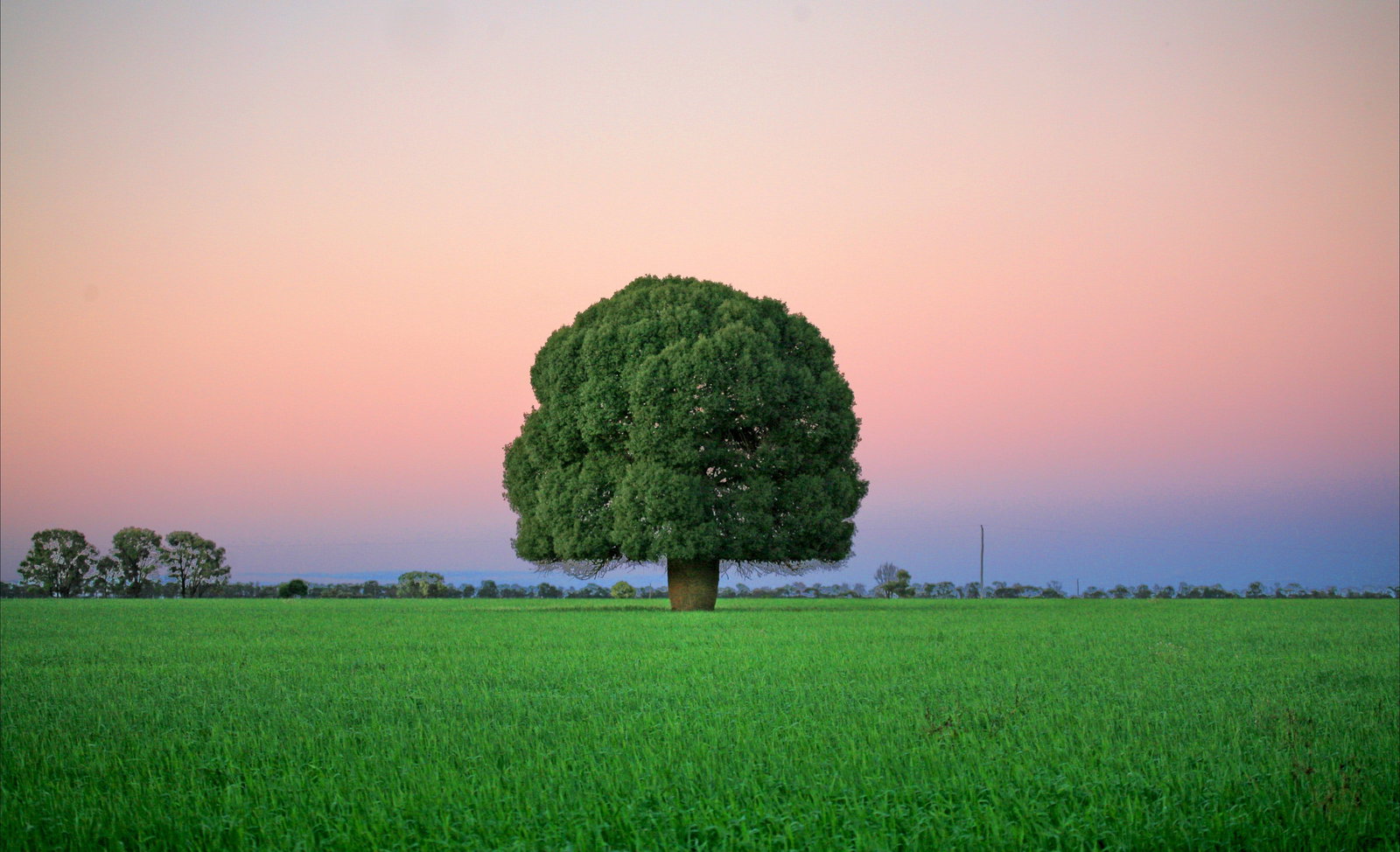 Condamine QLD Melbourne Tourism