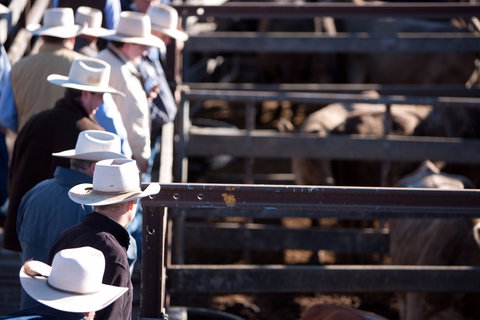 Dalby - Melbourne Tourism 0