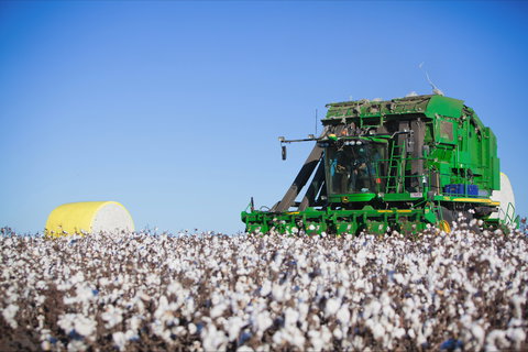 Dalby - Melbourne Tourism 2