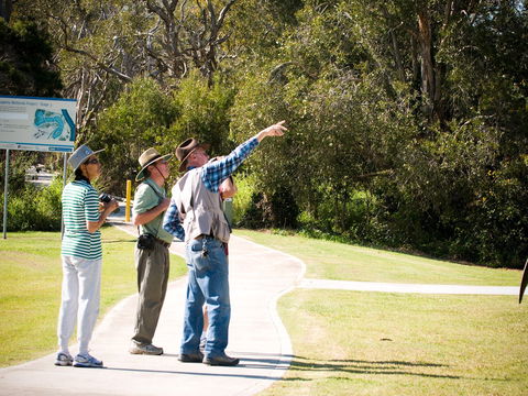 Eagleby Wetlands - Melbourne Tourism 2