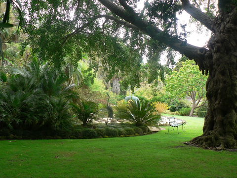 Friends Of Geelong Botanic Gardens - Melbourne Tourism 1