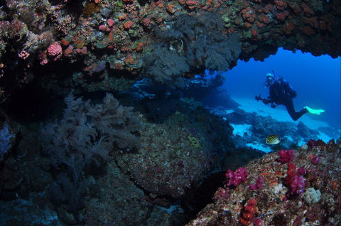 Hutchinson Shoal Dive Site - Melbourne Tourism 0