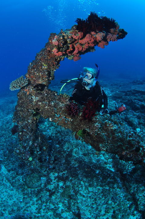 Hutchinson Shoal Dive Site - Melbourne Tourism 1