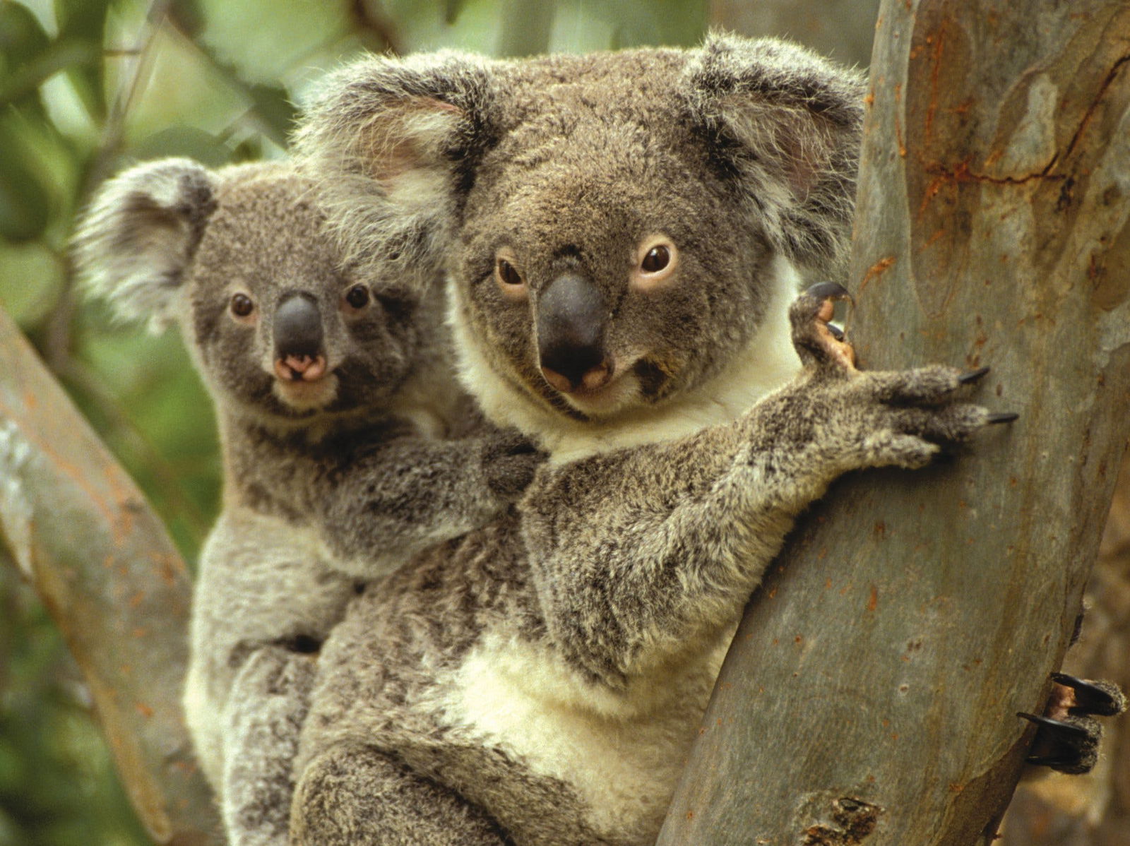  Melbourne Tourism