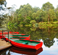 Lane Cove National Park - Melbourne Tourism