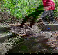 Maiala - Melbourne Tourism