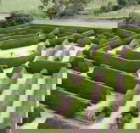 Mintaro Maze - Melbourne Tourism