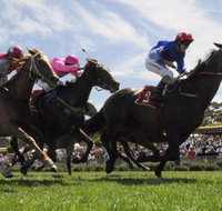 Moruya Racecourse - Melbourne Tourism