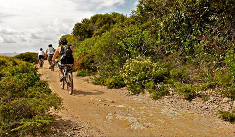 Mountain Biking Trails - Melbourne Tourism 0