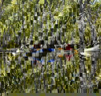 Murray River canoe trails - Melbourne Tourism