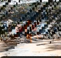 Myponga Reservoir Trail - Melbourne Tourism