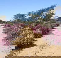 Reynoldson's Flora Reserve - Melbourne Tourism