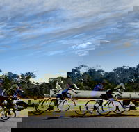 Richmond Lowlands - Melbourne Tourism