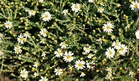 Round Tank Picnic Area - Melbourne Tourism 0