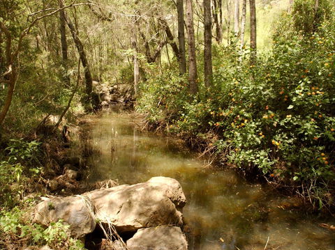 Sandy Creek Track - Melbourne Tourism 0