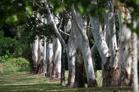 Teven Valley Golf Course - Melbourne Tourism 1