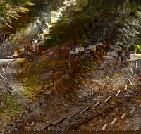 The West Coast Wilderness Way - Melbourne Tourism