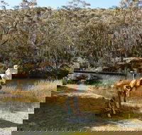 Wild Valley Art Park - Melbourne Tourism