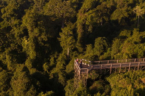 Rainforest & Waterfall Experience - Melbourne Tourism 5