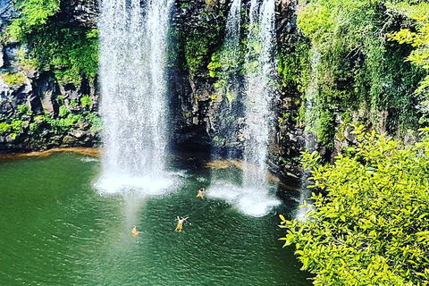 Rainforest & Waterfall Experience - Melbourne Tourism 2