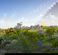 Mclaren Vale - Melbourne Tourism