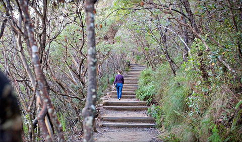 Princes Rock Walking Track - Melbourne Tourism 0
