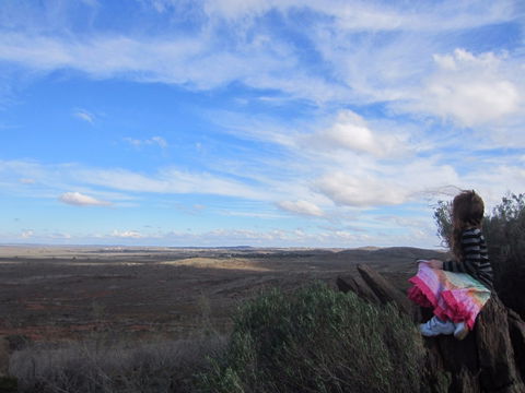 Sundown Nature Trail - Melbourne Tourism 1