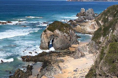 Narooma And Tilba Valley Private Tour - Melbourne Tourism 8