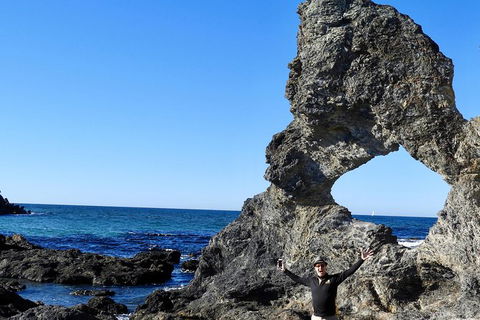 Narooma And Tilba Valley Private Tour - Melbourne Tourism 4