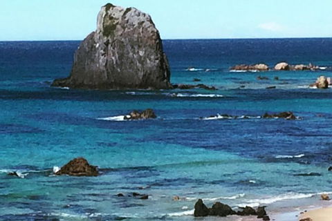 Narooma And Tilba Valley Private Tour - Melbourne Tourism 9