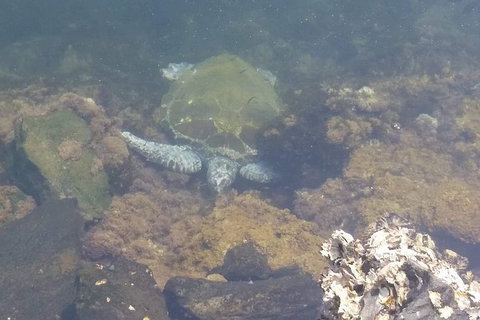 Sawtell To Coffs Harbour Bike Ride - Melbourne Tourism 4