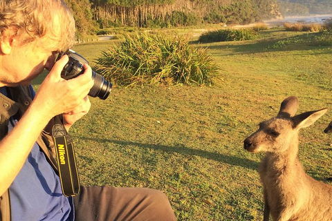 Highlights Of The Eurobodalla (half Day Private Tour) - Melbourne Tourism 2