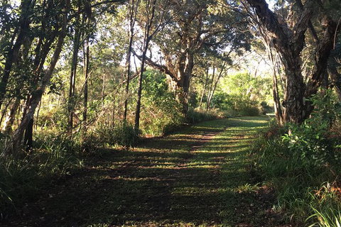Coffs Harbour To Sawtell Bike Ride - Melbourne Tourism 7