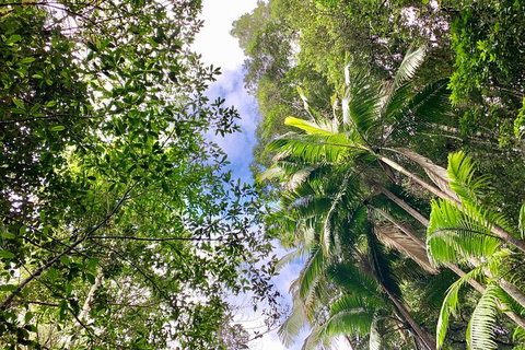 Guided E Bike Tour - Unicorn Falls & National Park - Melbourne Tourism 5