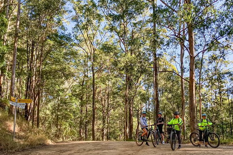 Guided E Bike Tour - Unicorn Falls & National Park - Melbourne Tourism 10