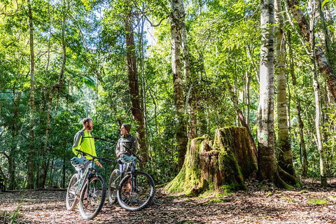 Guided E Bike Tour - Unicorn Falls & National Park - Melbourne Tourism 14