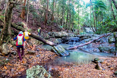 Guided E Bike Tour - Unicorn Falls & National Park - Melbourne Tourism 17